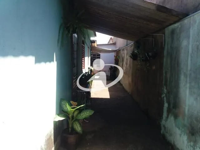 Imagem 11