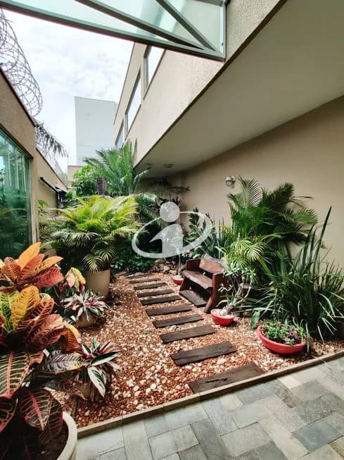 Imagem 5