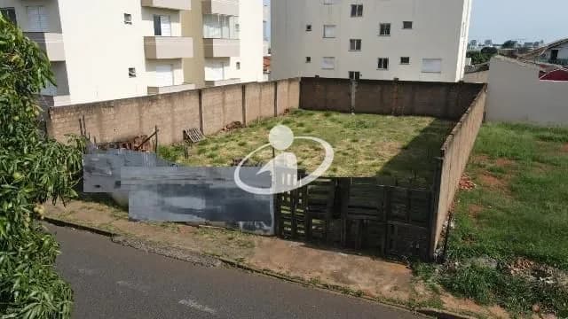 Imagem 5