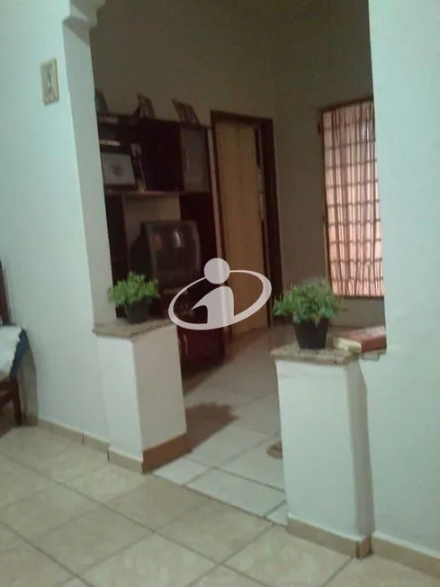 Imagem 8