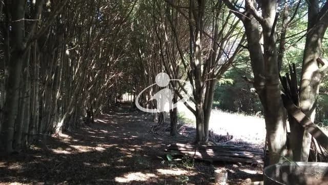 Imagem 4