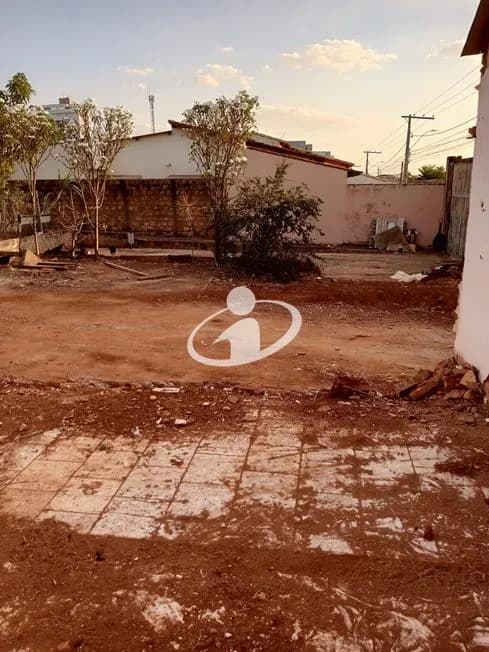 Imagem 3